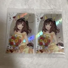 ウマ娘　ブエナビスタ　ツインウエハース　special R