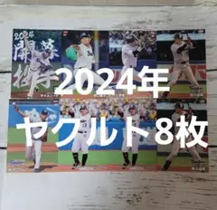 プロ野球チップス2024年　ヤクルト8枚