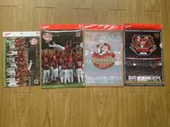 Item thumbnail for item b6f855e6-34bf-4036-97d7-0e841c80e3d5