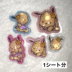 【サンリオ】うるちゅるポップシール　日焼けデザイン　ポチャッコ　1シート分