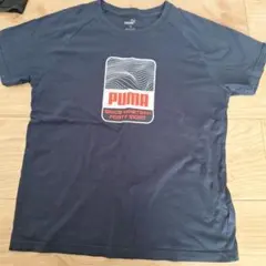 PUMA ネイビー Tシャツ