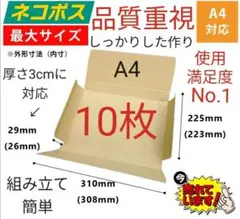 ネコポスに最適なA4ダンボール箱 厚さ3cm対応!10枚セット