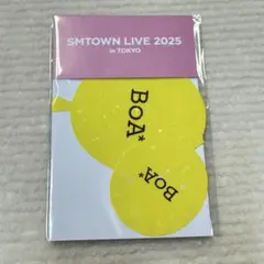 SM TOWN 2025 ホログラムステッカーセット BOA