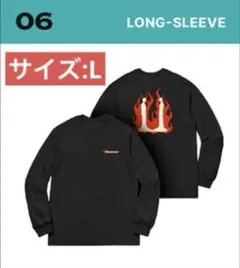 Item thumbnail for item a438bcaf-0d11-41f7-be9b-fa91e8315804
