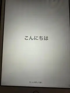iPad mini3