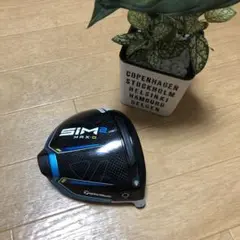 SIM MAX-Dドライバーヘッド セット❣️最終価格❣️