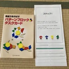 訳あり⭐︎構成力をのばすパターンブロックタスクカード　東洋館出版社