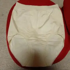 Item thumbnail for item d263ba31-7271-4907-b750-4b6b119002e0