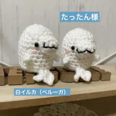 ◆miniあみぐるみ◆白イルカ（ベルーガ）