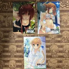 ToHeart2 向坂環　小牧愛佳　シルファ　特典　L判ブロマイド