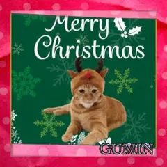 Item thumbnail for item 07f7ef0e-03d0-4973-9e89-43b092cfee40