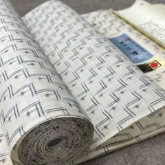 逸品 近江上布 ちぢみ 着尺 天然繊維 本麻 川口織物 指定伝統的工芸品
