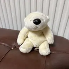 クリーム色のクマのぬいぐるみ