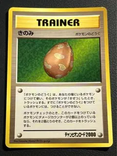 Item thumbnail for item 17c9a046-699c-4bfc-ab7b-31091b8ed849