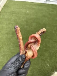 Item thumbnail for item 60deecef-0464-4fa6-b53a-7ca342b9d4bf