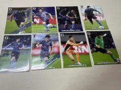 日本代表チップス
