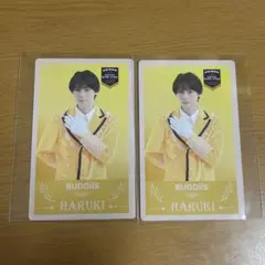 BUDDiiS HARUKI 岩尾春輝 エビライ トレカ 2枚