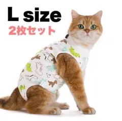 Item thumbnail for item 718eb238-2486-4f49-9731-64225bc6dfce