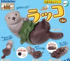 ラッコ 全4種セット