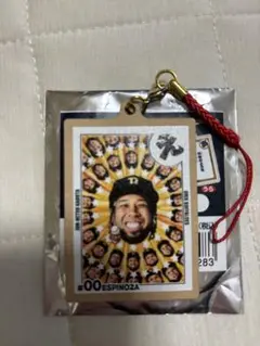 オリックス　エスピノーザ　かるた