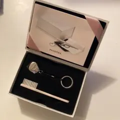 パンドラPandoraジュエリー クリーニング メンテナンス ケアセット