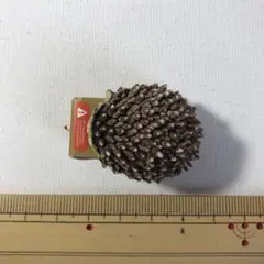 デリバリーズー ハリネズミ