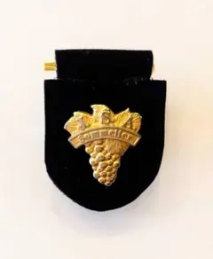 ソムリエバッジ台布　ブラックベルベット