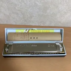 Item thumbnail for item 6494cf5d-e5f5-4107-990d-ae7d0af2d134