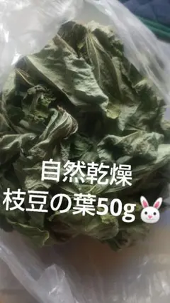 Item thumbnail for item 5f805794-ce6d-4899-98ab-b07c24a1071e