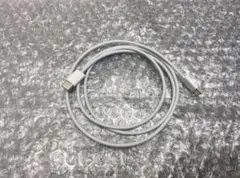 純正品 iPad Apple 充電ケーブル タイプC to C iPhone