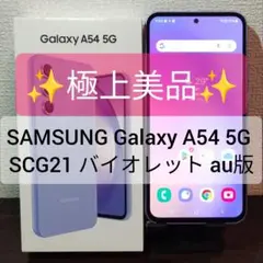 ★極上美品★SAMSUNG Galaxy A54 5G SCG21 国内版
