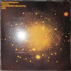 中古CD MAHAVISHNU Between Nothingness &