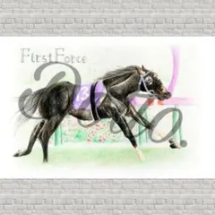 【ファストフォース】No.42 イラスト ポストカード 色鉛筆画 JRA 競走馬