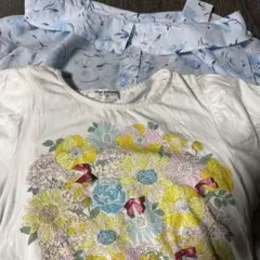 ポンポネット　140㎝　2枚セット