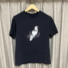 UT 鳩