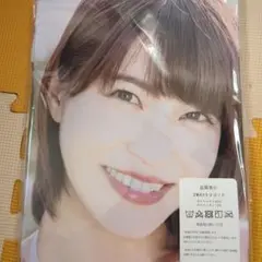 岸明日香　両面抱き枕カバー90cm×45cm　新品未使用