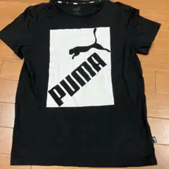 プーマ　ティーシャツ