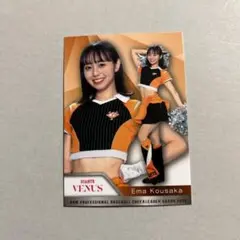 Item thumbnail for item 370b5f0f-f7d4-4c1c-a314-6f64ade922ec