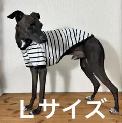 Ｌサイズ、犬服イタグレ服天竺白／黒ボーダーニットＴシャツ