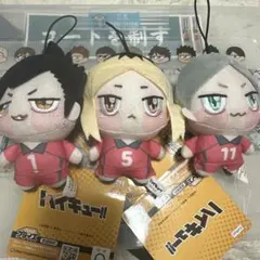 ハイキュー!! ぬいぐるみ・マスコット 3体セット