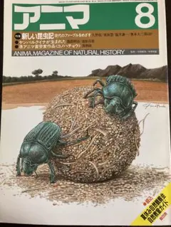 アニマ 8月号1984年