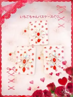 キラキラパスケース॰˳ཻ̊♡