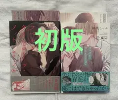 緋汰しっぷ　2冊セット　リーフレット付き