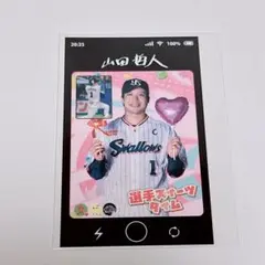 ヤクルトスワローズ　山田哲人　グルメステッカー