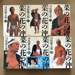 菜の花の沖 1, 2, 3, 4, 5, 6 全6巻セット　司馬 遼太郎