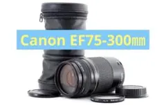 Item thumbnail for item 6b36d383-441e-4028-8723-ae638fbbee08