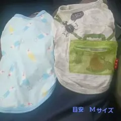 Item thumbnail for item 7ed3d798-3d1a-488b-9c9c-440a3c2478ed