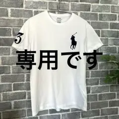 【POLO】ラルフローレンTシャツ cotton100% ポロ馬刺繍