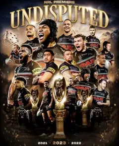 【海外Mサイズ】NRL ブリスベン・ブロンコス トレーニングタンクトップ 中国カスタマイズ 2024 NRL ブリスベン ブロンコス ジャージ