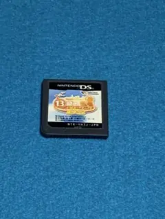 DS ソフト　13歳のハローワーク